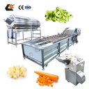 300Kg/H Potato Carrot Peeling Machine Beetroots Bubble Washing Machine Vegetable Cutter Vegetable Chopper Production Line