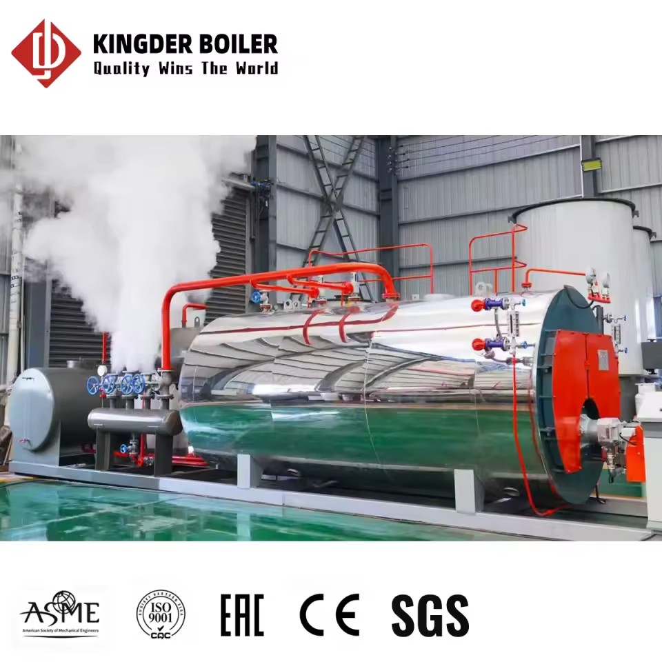 WNS Fully Automatic Steam Boiler PLC Control Low Pressure Gas Oil Fired for Factory Use