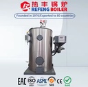 LSG Biomass Steam Generator Dual Purpose Boiler for Hotel School Heating & Hot Water Supply