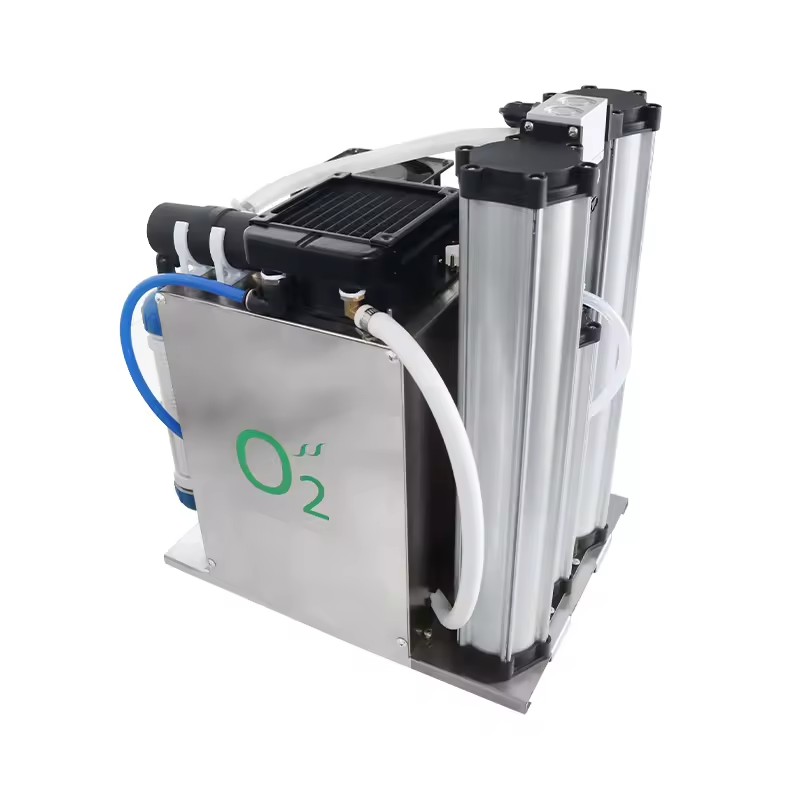Portable High Concentration Oxygen Generator 3L 5L 10L PSA Oxygen Generator for Fish Farming and Ozone Generator