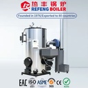 High Efficiency LSG Biomass Steam Boiler Heat Source Equipment for Food Cooking & Sterilization
