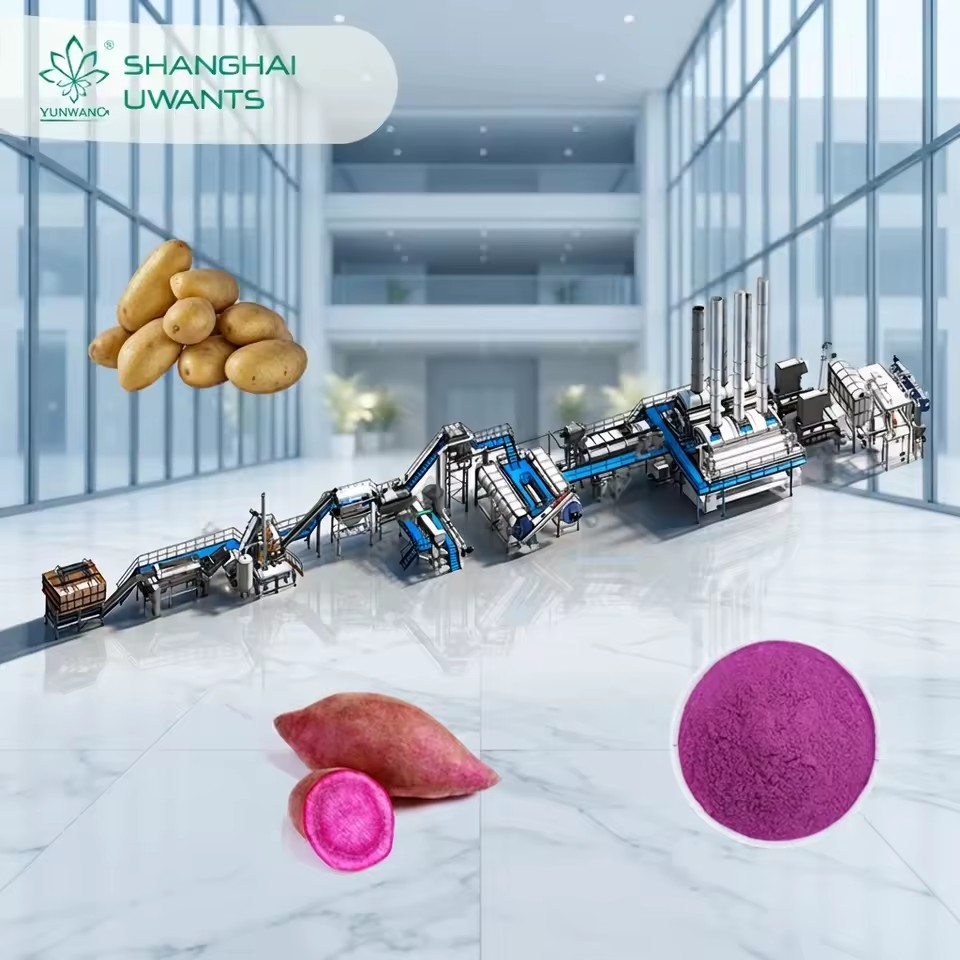 Factory Price Potato Flakes Processing Machine 304 Stainless Steel Automatic Drum Drying Customized Complete Plant
