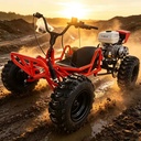 8 Inch Tire 212cc Four Stroke Gasoline Off Road Go Kart Adult All Terrain Racing