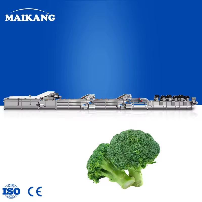 Continuous Blanching Line Stainless Steel Conveyor Blancher Machine for Vacuum Packed Vegetable Raw Material Treatment