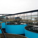 Mineral Concentrator Ore Sedimentation Mining Thickener Price