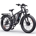 Custom Logo Ridstar 26" Dual Motor Fat Tire Electric Mountain Dirt E Bike Adults Electric Bicycle Motorcycle Manufacturer