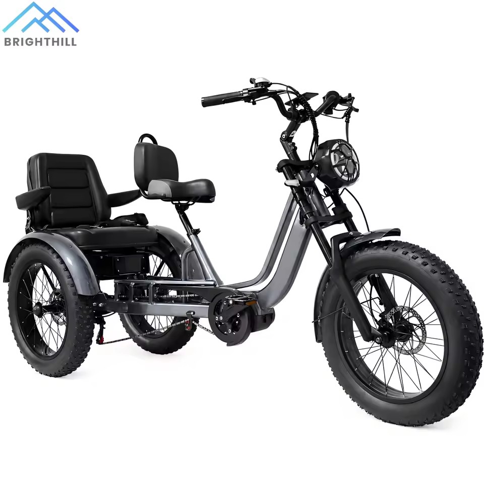 Factory Direct OEM ODM 20inch Fat Tire Electric Tricycle 500W Mid Drive 48V Lithium Battery For Two Person