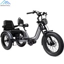 Factory Direct OEM ODM 20inch Fat Tire Electric Tricycle 500W Mid Drive 48V Lithium Battery For Two Person