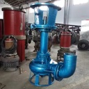 Vertical Mud Pump Wear Resistant Slurry Pump for Oilfield Drilling 1 Year Warranty