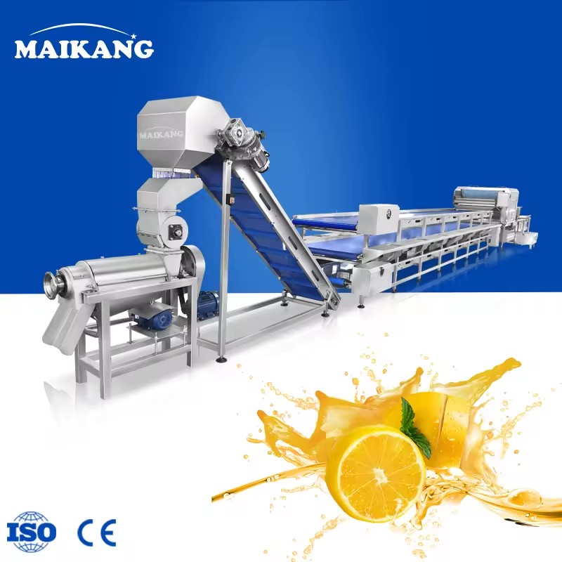 Profession Orange Lemon Juicing Line Automatic Washing Pressing Food Grade Stainless Steel 304 High Capacity 200-3000kg/h Juice