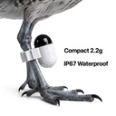 All Weather Falconry 2.2g Subscription-Free Altitude-Hold GPS for Field Raptor Training