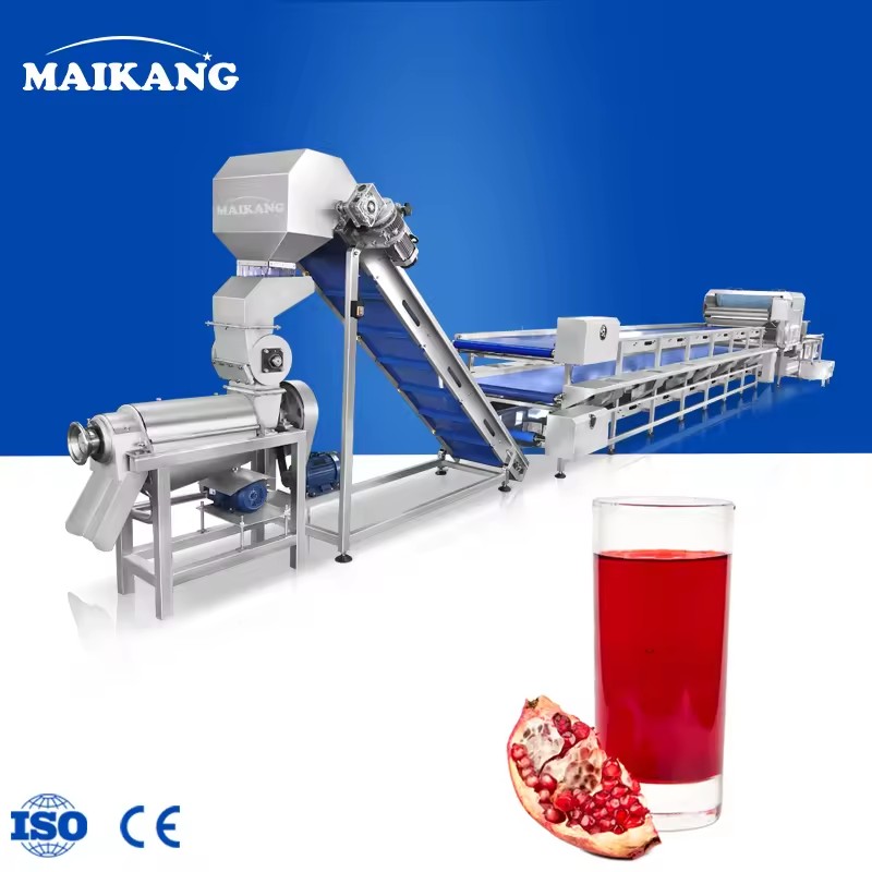 Plam Dates Washing Sorting Machine Fruit Juice Production Line Jujube Plant Concentrate Pomegranate Juicer Complete Line
