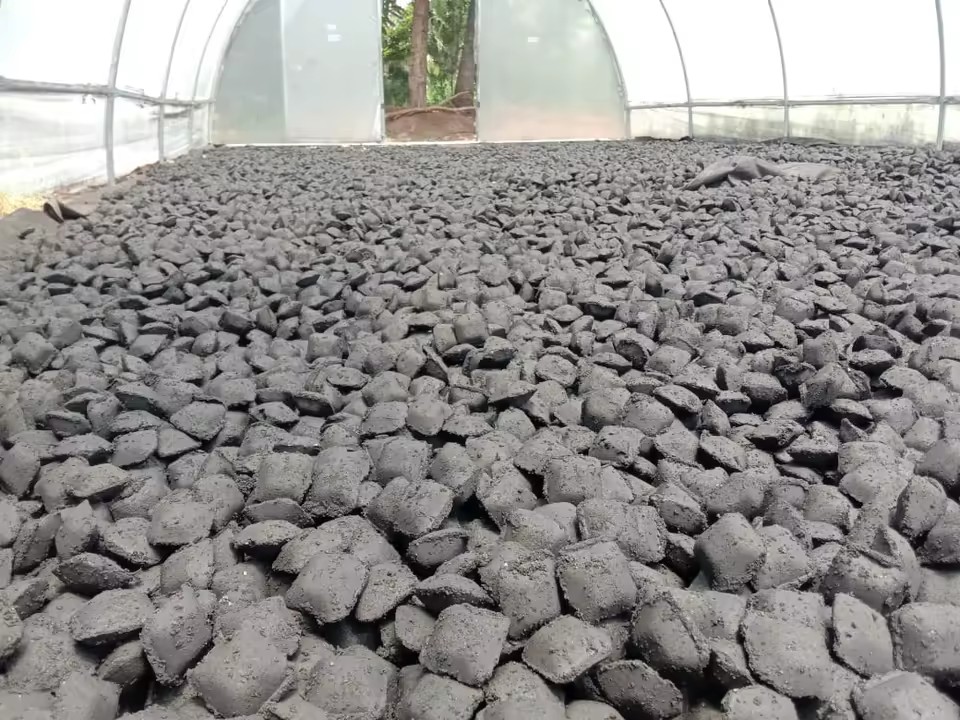Coconut Shell Pillow Charcoal Briquettes Manufacturer Machine Made Uniform Shape Low Price Low MOQ