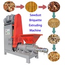 Full Automatic Sawdust Screw Extruder Briquetting Machine Biomass Waste Coconut Shell Wood Briquette Production Line