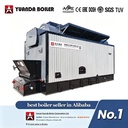 Factory DZL6-1.25-AII 6t Coal Burning Steam Boiler