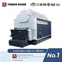 3 Ton Solid Fuel Palm Kernel Shell Fired Biomass Steam Boiler