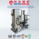 LSG700kg/h 0.4MPa Automatic Biomass Steam Generator Vertical Steam Source for Chemical & Paper Industry