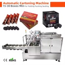 Automatic Hookah Brisquet Charcoal Briquette Bag Packing Machine Shisha Charcoal Cube Box Packing Machine