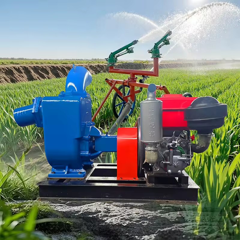 Agriculture 55kw Horizontal Single Stage Centrifugal End Suction Pump Diesel Irrigation Pump Price