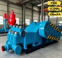 Factory Price Triplex Single Action F300 Industrial Mud Pump for Deep Water Well Drilling & Uranium Exploration in Central Asia