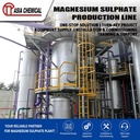 Energy Saving Magnesium Sulphate Crystallizing Plant Turnkey Chemical Production Line
