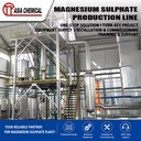 Stainless Steel Magnesium Sulfate Production Plant Complete Evaporator & Crystallizer Equipment