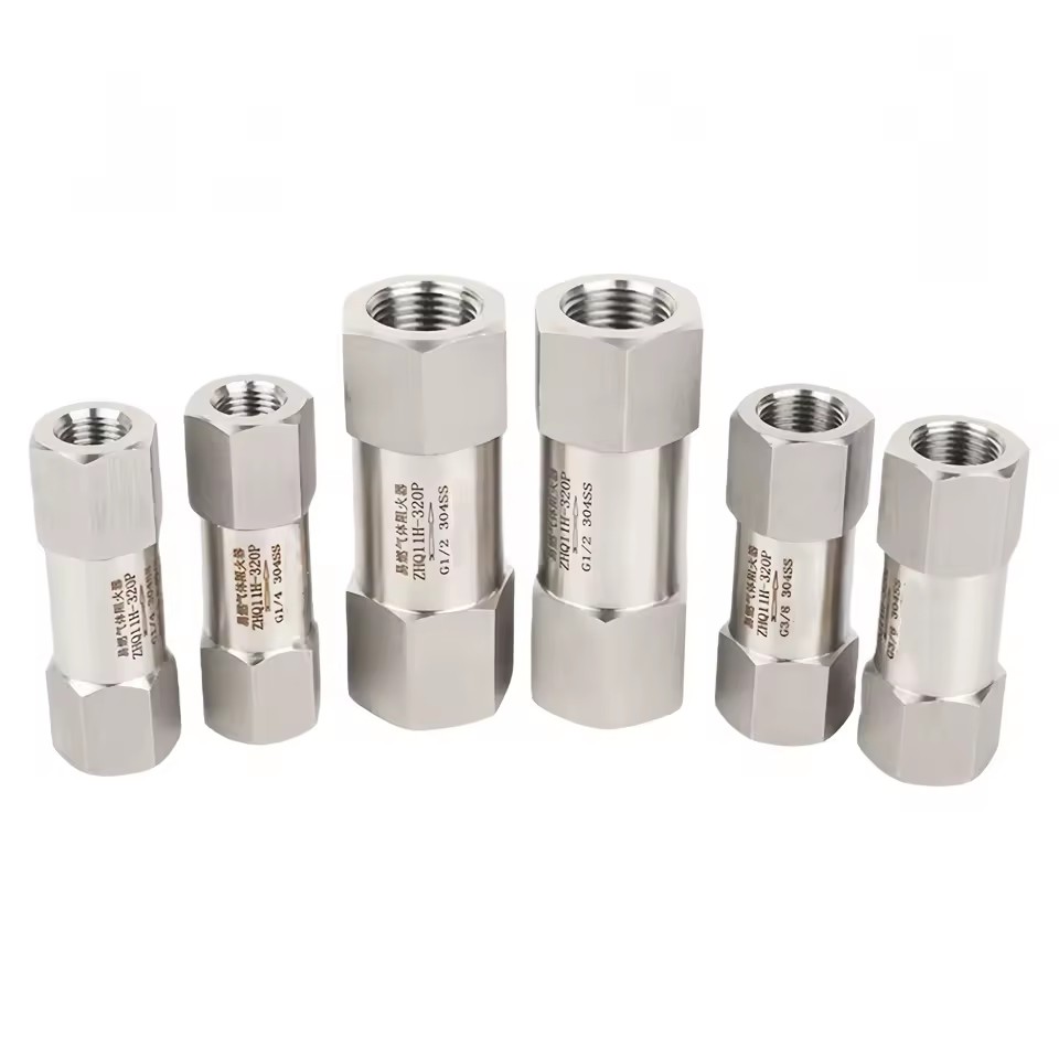 Stainless Steel Threaded Connections Flame Arrestor Explosion-Proof Safety Device Check Valves Flammable Gas Flashback Arrestor
