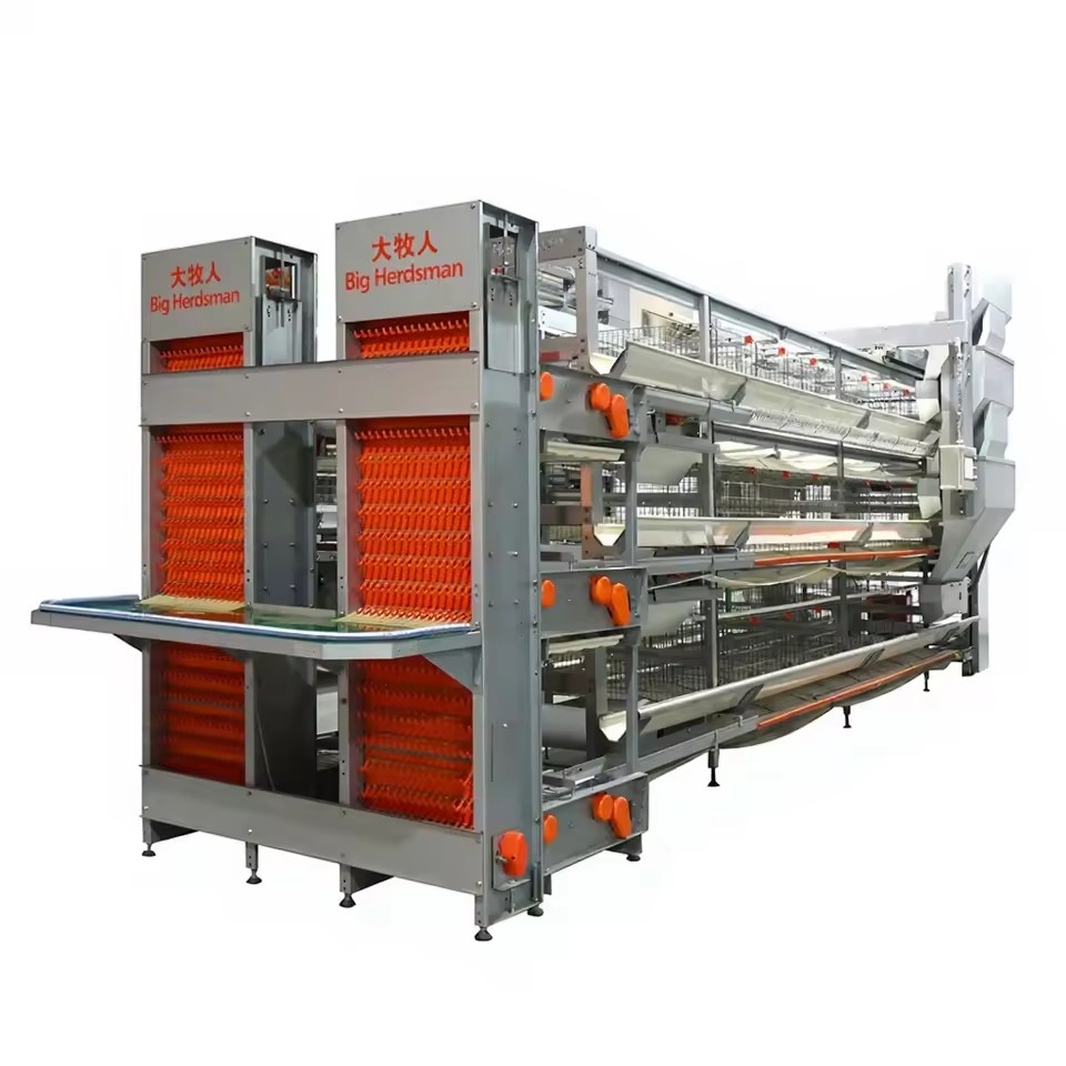 Professional Poultry Layer Cage System with IoT Climate Control and Zinc-Alloy Materials for 20-Year Service