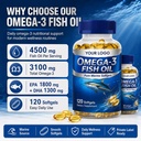 Custom Formula Bulk GMPC ISO Certified High Potency EPA 1800mg DHA 1300mg Premium Heart Brain Health Support Softgel Capsules