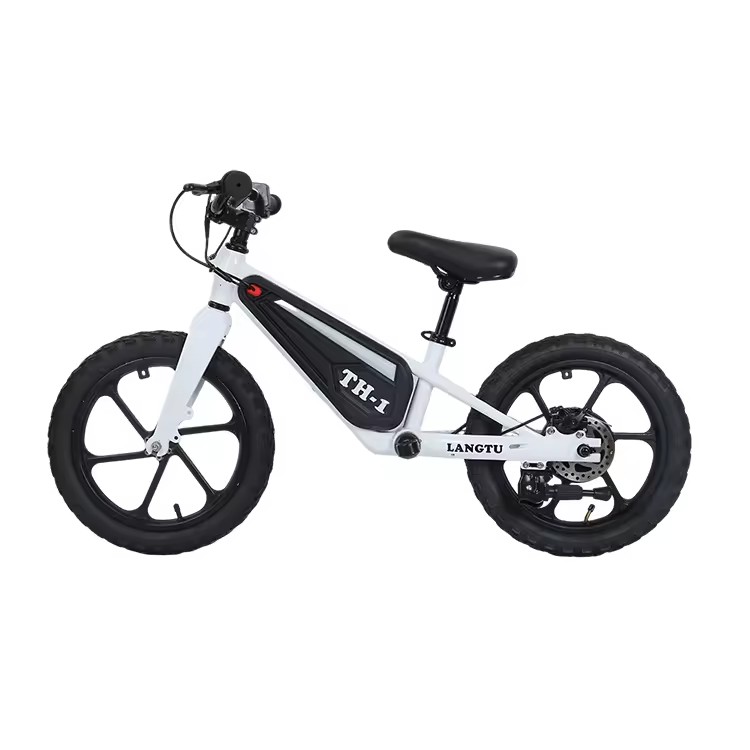 2025 New Product Kids Balance Bike 16 Inch Scooter Bike 250W Lithium Battery Brake Line Magnesium Alloy Frame Single Speed