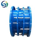 Double Flange High Pressure Flexible Corrosion-resistant Acid Alkali Resistant Smooth Casting Forging Expansion Pipe Fittings