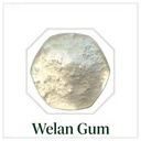 Natural Welan Gum Polysaccharide Stabilizer for Waterproof Mortar and Petroleum Drilling