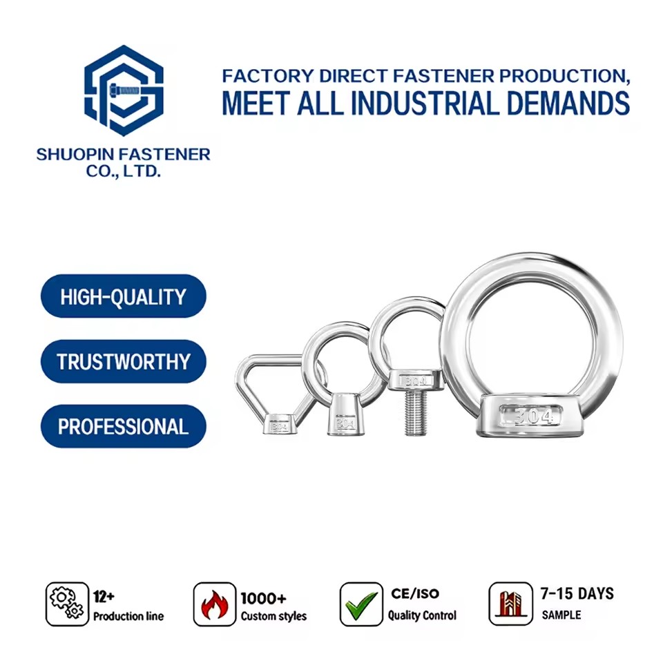 Petroleum Chemical Plant Seawater Desalination Port Ship 316 Stainless Steel DIN582 Lifting Eye Nut Corrosion Resistant Fastener