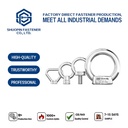 Petroleum Chemical Plant Seawater Desalination Port Ship 316 Stainless Steel DIN582 Lifting Eye Nut Corrosion Resistant Fastener