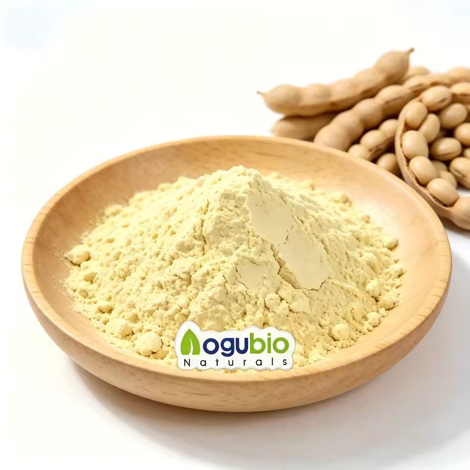 High-Performance Cationic Guar Gum - Natural Conditioning Polymer for Personal Care & Industrial Applications | CAS 65497-29-2
