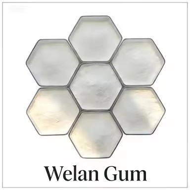 Construction Grade Welan Gum Powder High Viscosity Stabilizer for Building Mortar and Drilling Mud