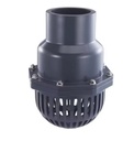 Wholesale Customized OEM/ODM PVC Foot Valve Swing Type Check Valve for Water Application