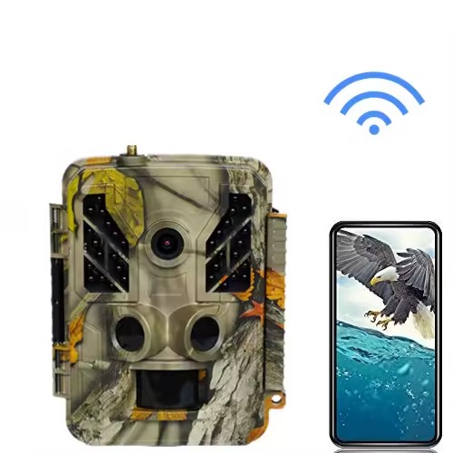 Cheap Outdoor 4K WIFI Hunting Camera Wifi&Point Connection Infrared Trail Camera with IP67 Waterproof