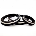 FIG 1502 1002 602 Hammer Union Seal with Stainless Steel Ring HNBR FKM Lip Gasket for High Pressure Surface Flowline Manifolds