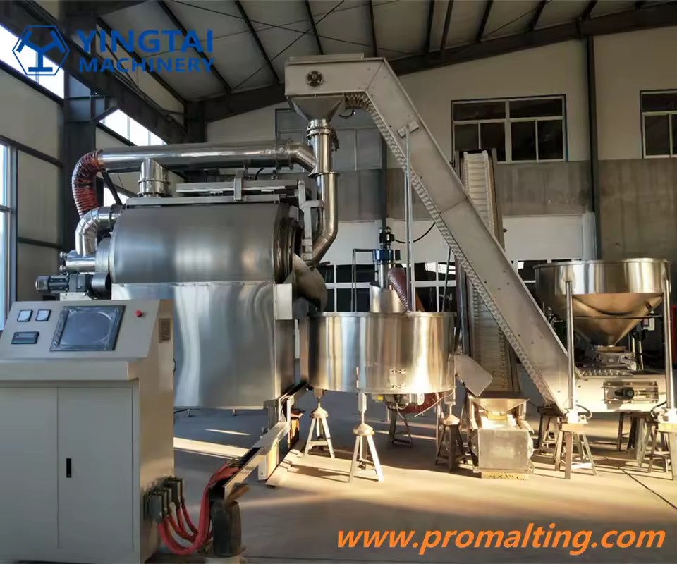 Automatic Barley Malt Roastor Machine Special Malt Roasting Equipment for Malting Companies