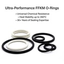 FFKM O-Ring Perfluoroelastomer Seals for Oilfield Equipment and Harsh Chemical Processing in Petroleum Industry Gaskets