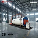 2-20Ton Automatic Natural Gas Horizontal WNS Steam Boiler Low Pressure High Efficiency Energy Saving for Food Beverage