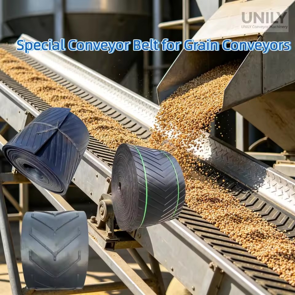 New High Efficiency Wear Resistant Tear Resistant Nylon 2 Layer Adjustable Speed Anti-Bacterial Anti-UV Anti-Static Conveyor