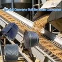 New High Efficiency Wear Resistant Tear Resistant Nylon 2 Layer Adjustable Speed Anti-Bacterial Anti-UV Anti-Static Conveyor