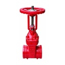 Ductile Cast Iron Grooved Rising Stem Gate Valve 2 in - 16 in Z81X-16Q