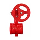 Ductile Cast Iron Grooved Worm Gear Butterfly Valve PN16 2 in - 12 in D381X-16Q for Flow Control