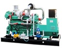 Cogeneration Combined Heat Power Electric Station Biogas Gas Power Generator 20kw