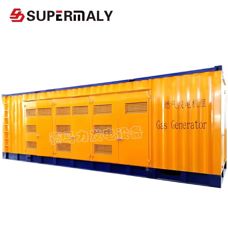 750kW Natural Gas Generator Set Containerized Biogas Power Equipment