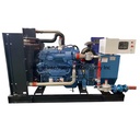 Popular Household Gas Generator 40kw Natural Gas Generator Set Best Price Biogas Liquefied Petroleum Gas Generator