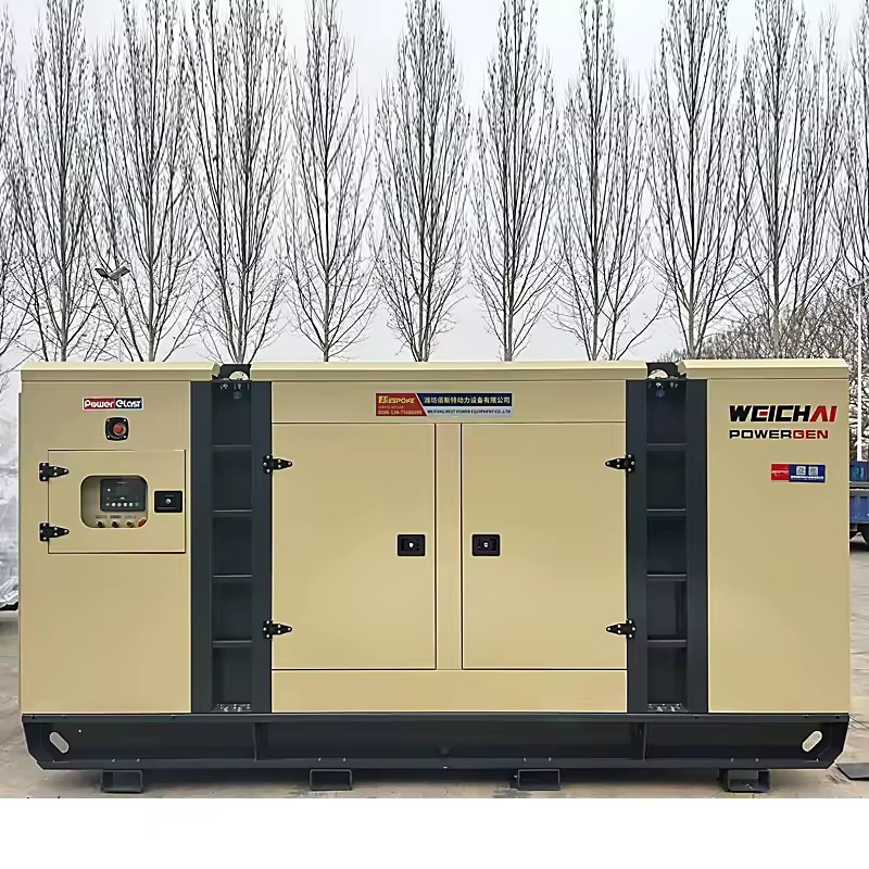 Manufacturing Produces Branded Biogas Generator NPG LPG Alternator Generators Electric 300kw for Commercial and Industry